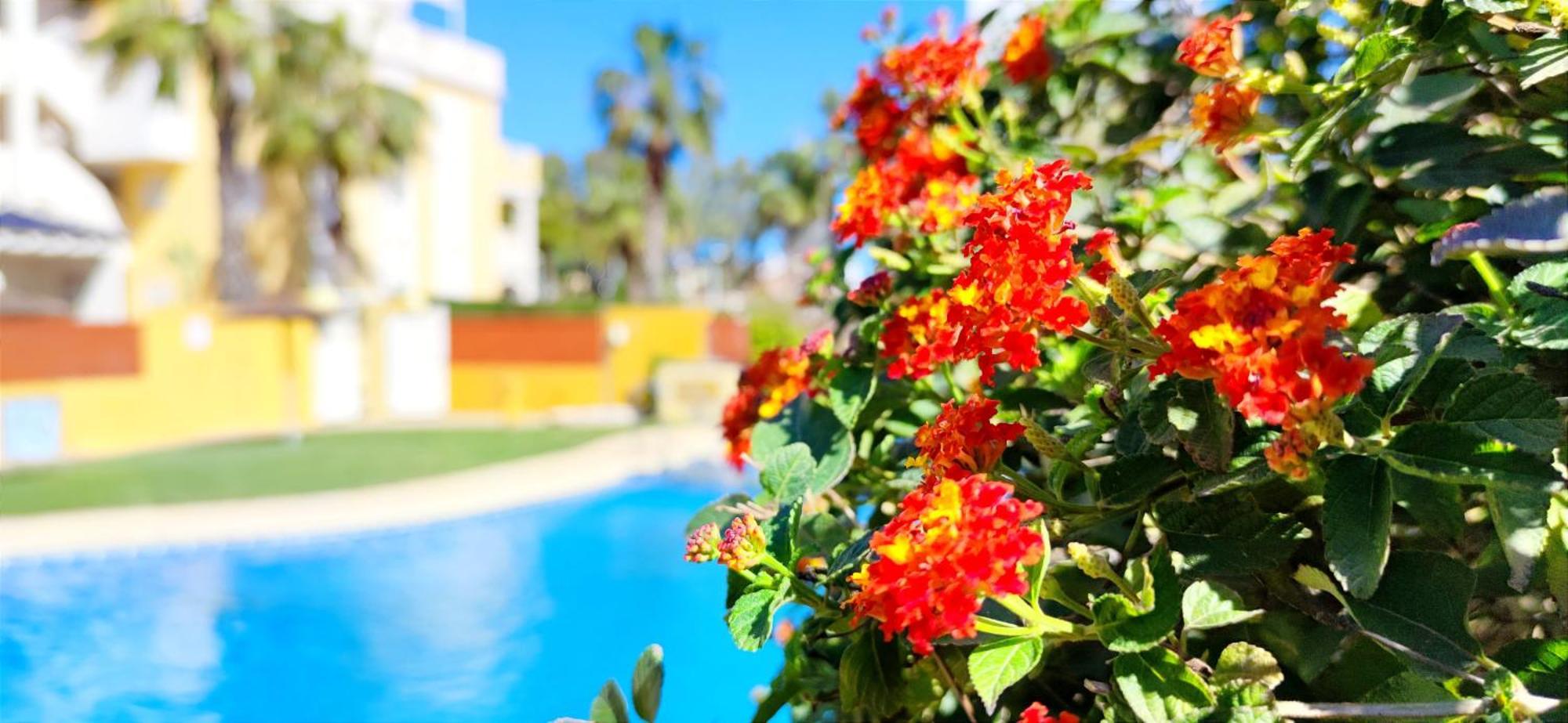Apartamento Playa Sol By Denia Costa Esterno foto
