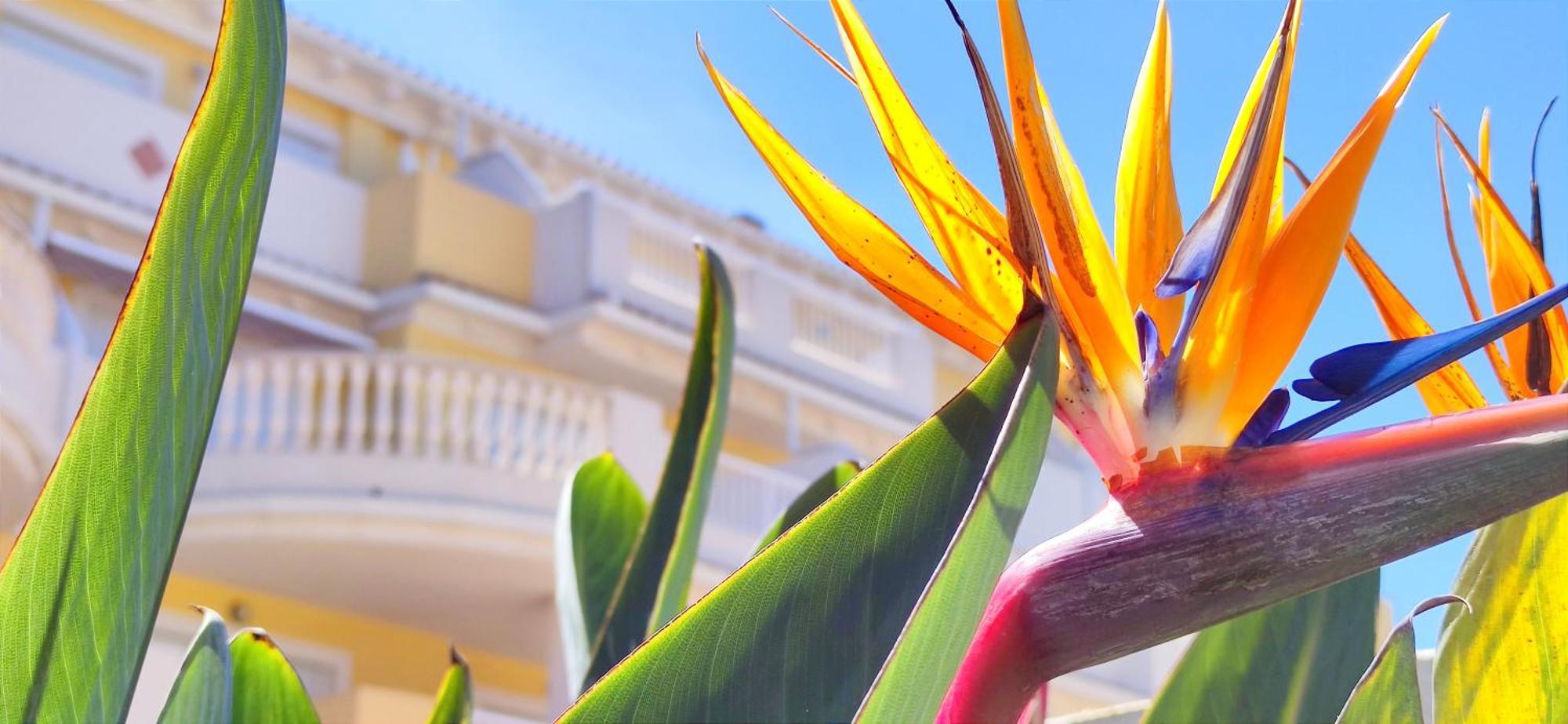 Apartamento Playa Sol By Denia Costa Esterno foto
